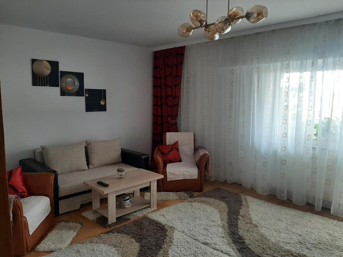 Ultracentral,Parcul Catedralei,Apartament 2 Camere Bákó Kültér fotó
