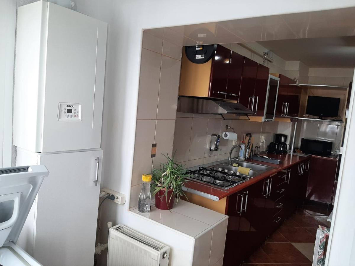 Ultracentral,Parcul Catedralei,Apartament 2 Camere Bákó Kültér fotó